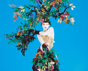 IONA Contemporary Dance presents A Night at the Museum