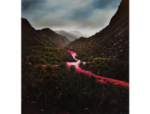 TULA TELFAIR: N A T U R E does not locate itself