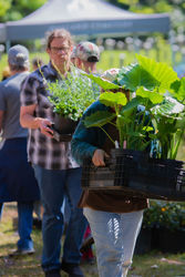 Fall Plant Sale at Oakland Cemetery