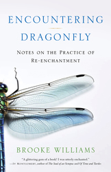 Encountering Dragonfly: Author Brooke Williams at Porter Square Books in Cambridge, Sept 2, 2025