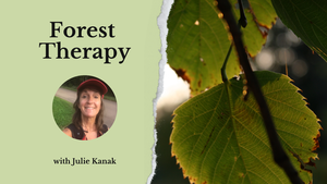 Forest Therapy - September Session