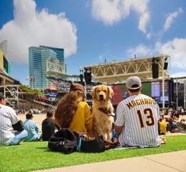 Bark at the Big Screen presented by Petco
