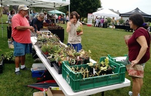Cactus and Succulent Festival