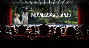 Movies Saving Pets Film Festival