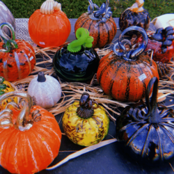 The Great Glass & Clay Pumpkin Patch