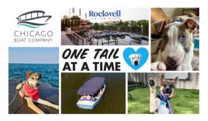 All Paws On Deck: Dog Day Adoption Event with the Chicago Boat Company and One Tail at a Time