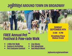 Joybound Around Town on Broadway!