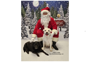 Santa Photos Fundraiser