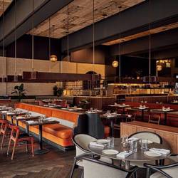 Vines & Vibes: Bacchus Harvest Moon