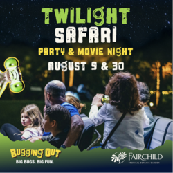 BUGGING OUT: FAMILY MOVE NIGHT AND TWILIGHT BUG SAFARI!