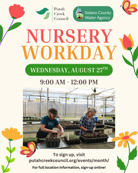 Volunteer in the SCWA Native Plant Nursery