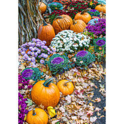 Emerging Autumn Opening Reception