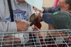 Washoe County 4-H Festival
