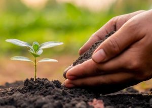 WorldWise Microfinance: Seeds of Change