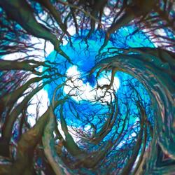 EcoVibes--Unfolding our Future