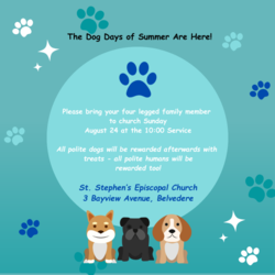 Dog Days of Summer - Bring your four legged family member to St. Stephen's Sunday August 24th 10 a.m