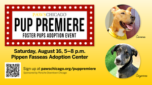 Pup Premiere