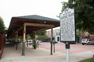 Congaree Vista Walking Tour