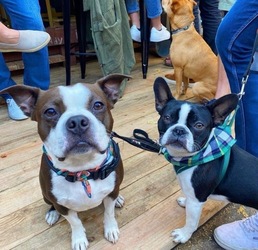 Celebrate National Lemonade Day at Cody's Public House