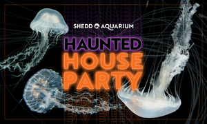 Haunted House Party at Shedd Aquarium