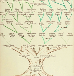 Caring For Your Family Tree: Branching Out