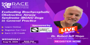 Evaluating Brachycephalic Obstructive Airway Syndrome (BOAS) Dogs in General Practice