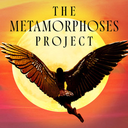 The Metamorphoses Project