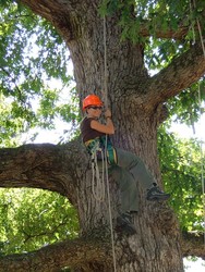 Virginia Beach Fall Forestry & Wildlife Field Tour