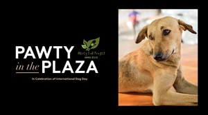 Pawty in the Plaza