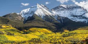 New Roots, Wild Views - Opening Reception