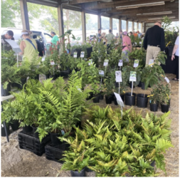 Fall Gardeners Market