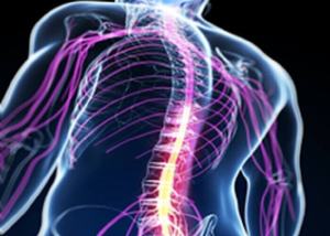 Back to School in Whole Health