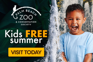 Kids Free Summer