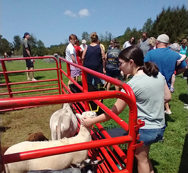 Community Fun Day