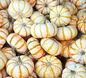 Fall Fling Preview & Design Demo
