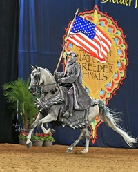 15h Annual Arabian National Breeder Finals