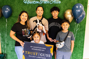 Puppy Palooza: Puppy Adoption Event! Adoption Fees Waived