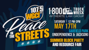 Peace in the Streets Summer Block Party