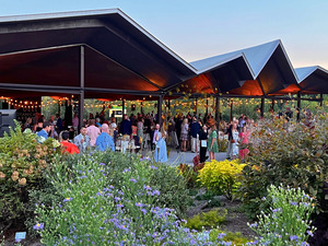 Twilight in the Garden 2025