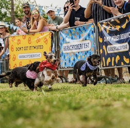 Karbachtoberfest 2025