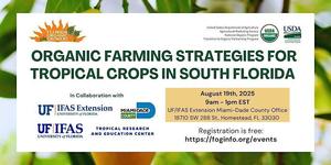 Organic Farming Strategies for Tropical Crops in South Florida