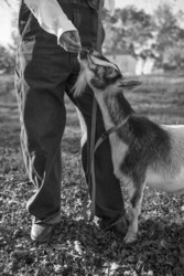 Opening Reception for "Food Stories"