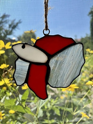 Stained Glass: Beta Fish Wednesday , 5:00 – 8:00pm. November 12th