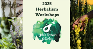 Urban Growers Collective - Community Herbalism Days