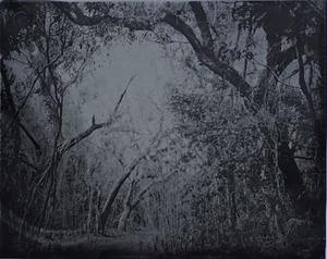 Retorno: Photographs by Miquel Salom at Deering Estate