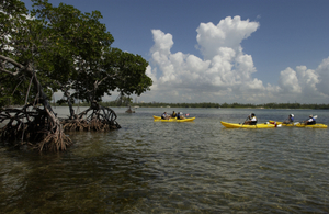 Bayside Kayak Excursion: Discover Biscayne Bay’s Hidden Wonders