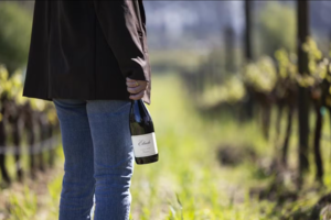 2023 Pinot Noir Release Event