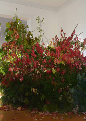 Six Foot Platform: ASHLEY PALMER | SAFE SPACE