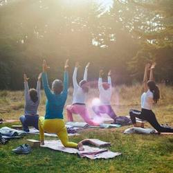 Therapist Chillout: Yoga & Chill