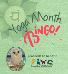 Celebrate National Yoga Month with The Yoga Sanctuary!